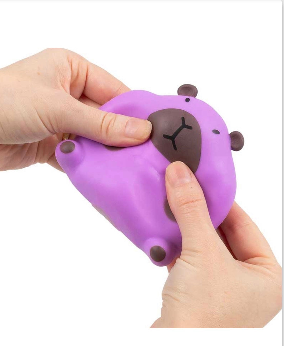 Stretchy Capybara Sensory Toy