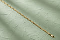 9ct Yellow Gold Figaro Anklet on sage green textured background