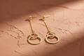 9ct Yellow Gold Circle Drop Earrings on terracotta textured background